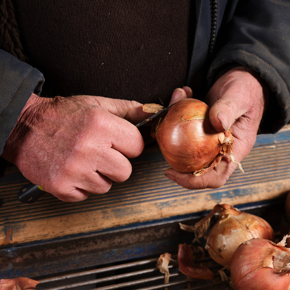 Peeling an onion from Roscoff