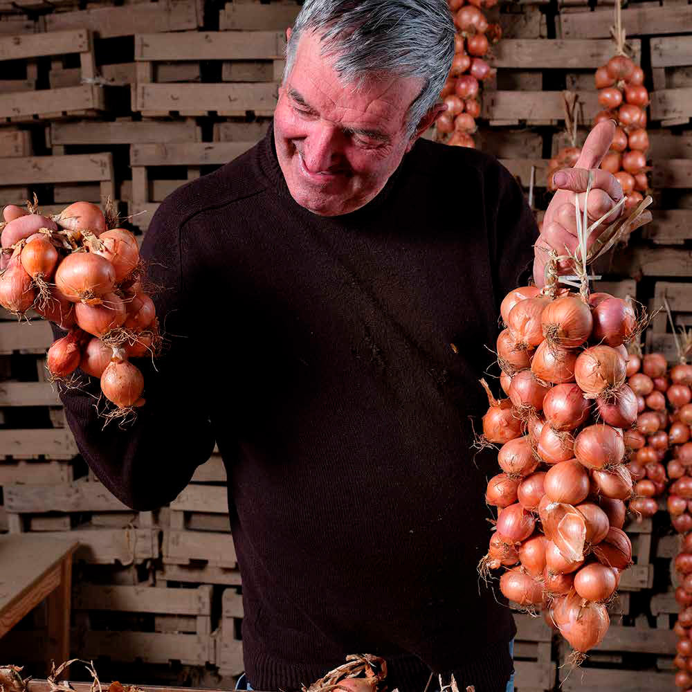 A man shows braided onions from Roscoff